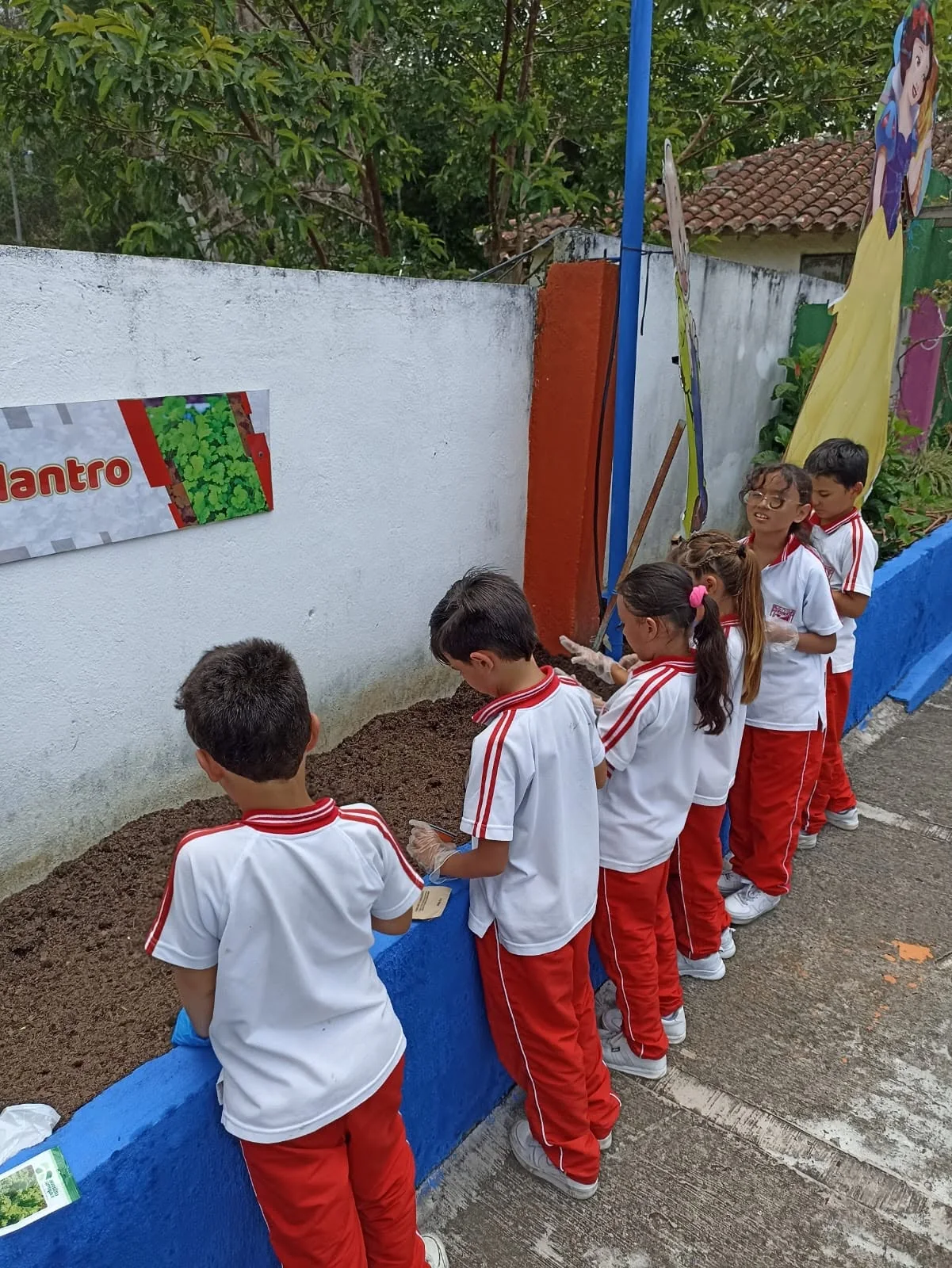 Estudiantes participan en el cuidado de plantas junto al corredor escolar.